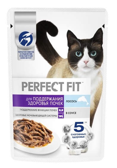 pf_cat_465