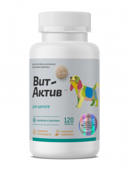 vit-aktiv-s-m-banka_0