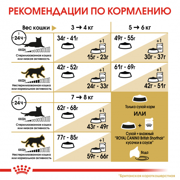 Royal Canin Для кошек Британская (British Shorthair)