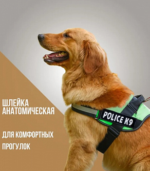 PetCh Шлейка для собак POLICE-K9  (46-61см / S), зеленый