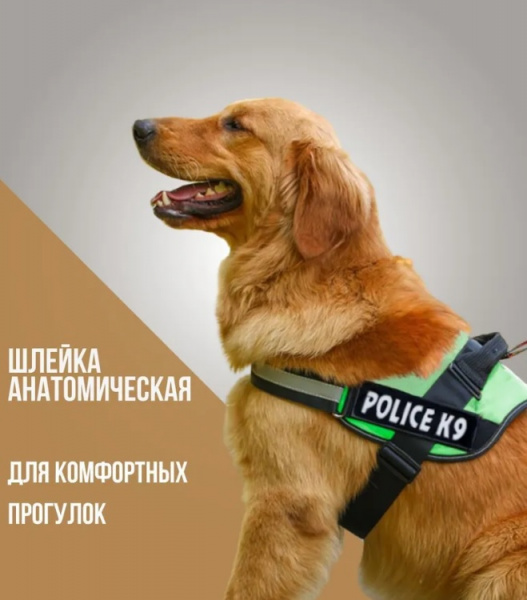 1234uygoyufl