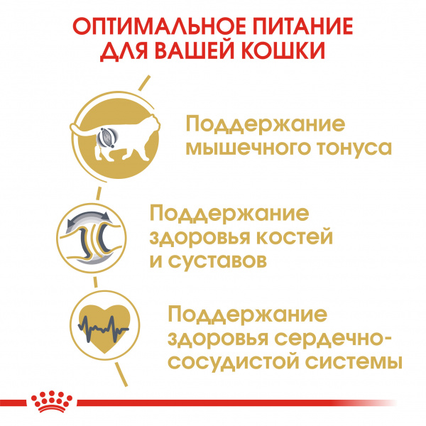 Royal Canin Для кошек Британская (British Shorthair)