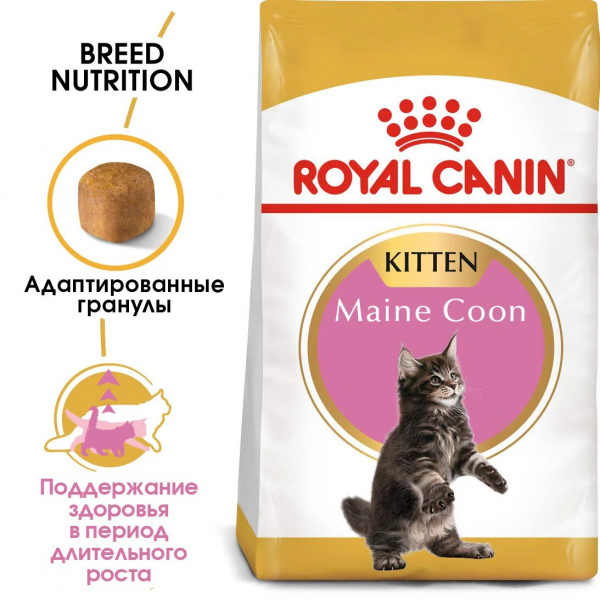 Royal Canin Для котят Мейн-кун (Kitten Мaine Coon)