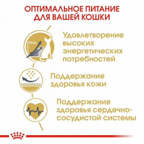 Royal Canin Для кошек Сфинкс (Sphynx)