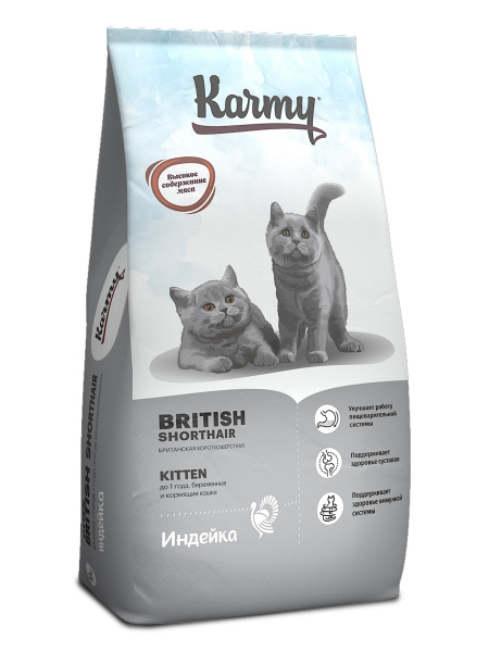 10_BRITISH KITTEN3