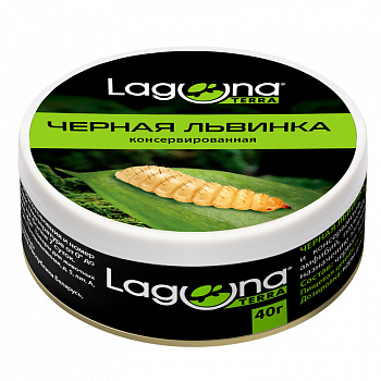 Laguna Черная львинка консервированная, 40г