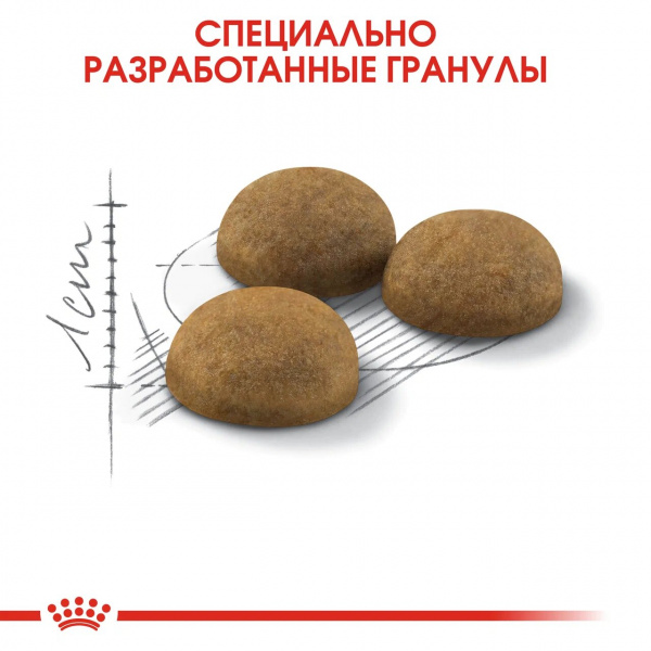Royal Canin Для кошек длинношерстных (Indoor long hair)