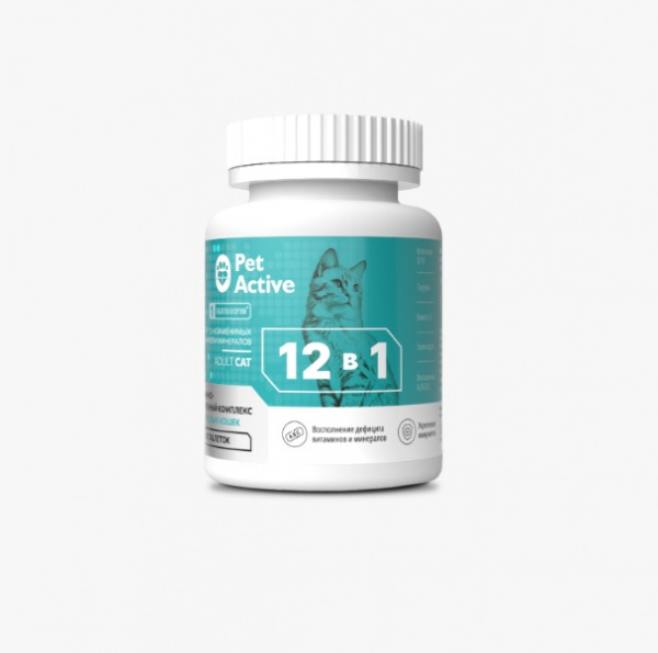 PA_12i1