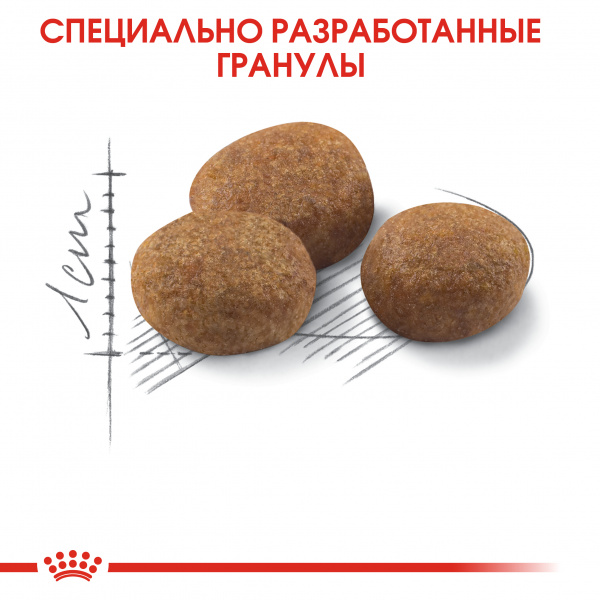Royal Canin Для пожилых кастрированных кошек 7-12лет (Sterilized 7+)