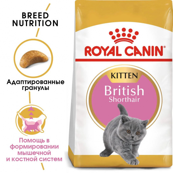 Royal Canin Для котят Британская (Kitten British Shorthair)