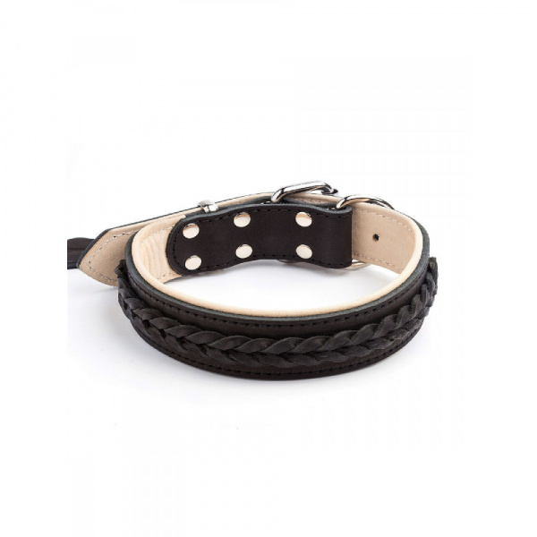 oshejnik_dlya_sobak_koganyj_oshejnik_dlya_sobak_oshejnik_dlya_krupnyh_sobak_oshejnik_oshejnik_poluudavka_oshejnik_koga_oshejnik_collar_oshejnik_waudog