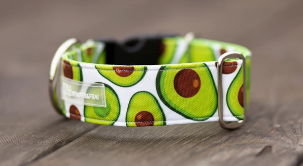 avocado_38