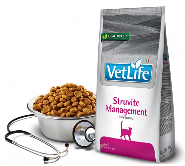 FA_cat_vet_stru_men