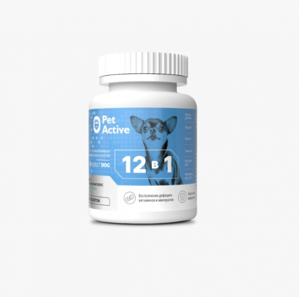 PA_12i1_dog_min