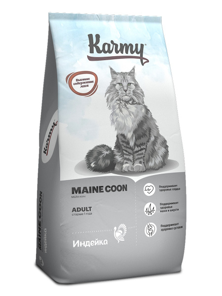 06_MAINE COON ADULT2