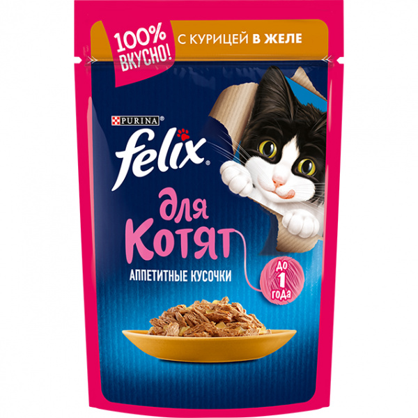 kotiat-front
