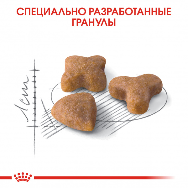 Royal Canin Для кошек с чувств. пищеварением (Sensible)