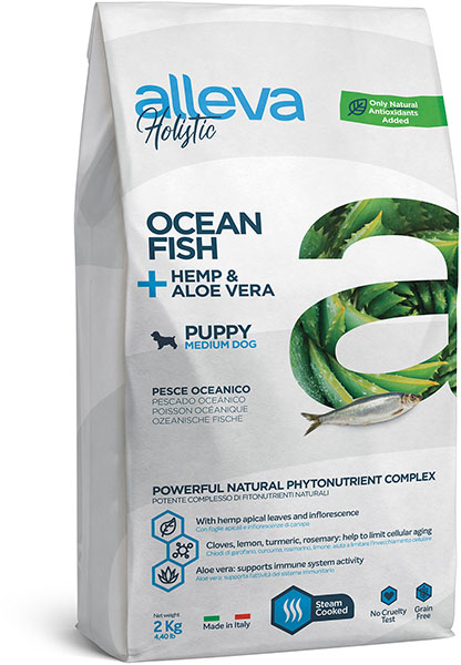 holistic_dog_fish_puppy_medium