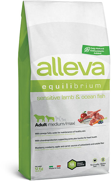 equilibrium_senstivelamb_oceanfish_adult_medium_maxi