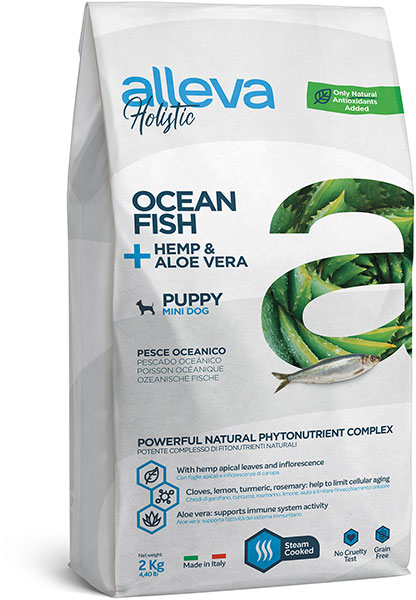 holistic_dog_fish_puppy_mini