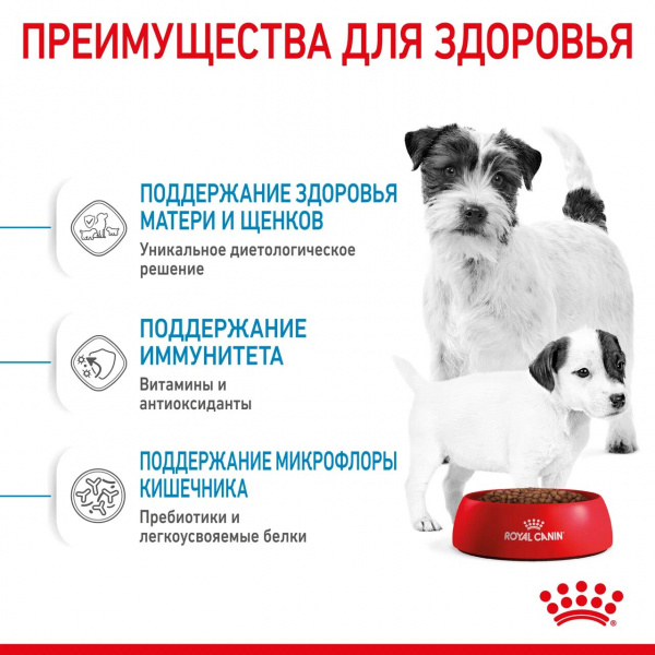 Royal Canin Для щенков малых пород: 3нед.-2мес., беременных и кормящих сук (Mini Starter)