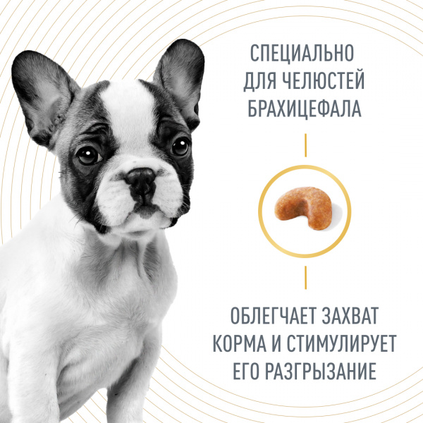 Royal Canin Для щенков Французкий бульдог: до 12мес. (French Bulldog Puppy)