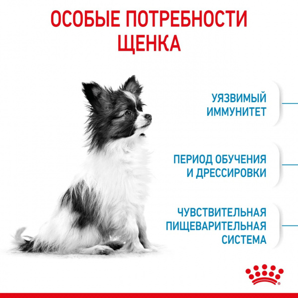 Royal Canin Для щенков карликовых пород (X-Small Puppy)