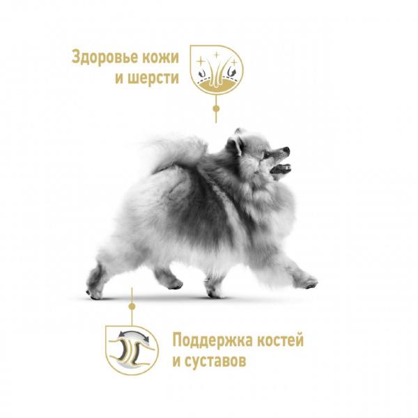 Royal Canin Для собак Померанский шпиц (Pomeranian)