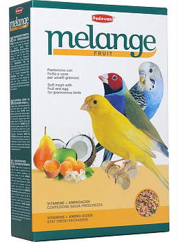 Padovan Корм дополнительный для зерноядных птиц (MÉLANGE Fruit) 300 гр