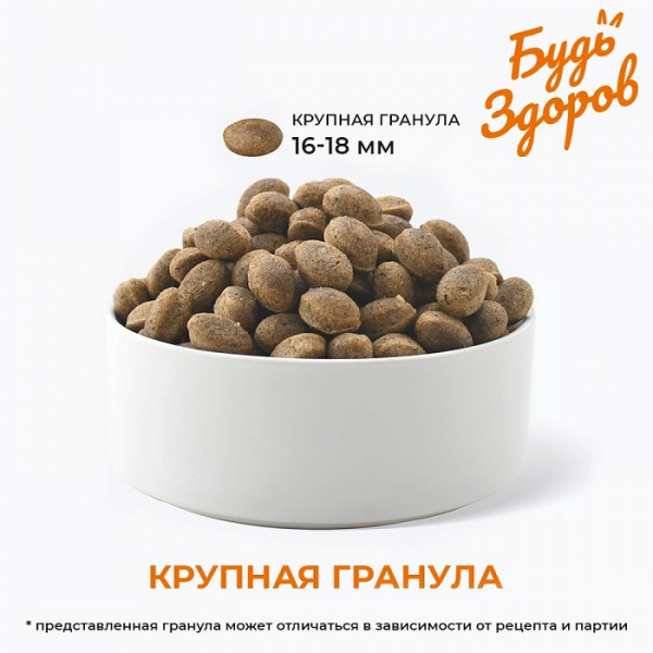 bz_vzroslye_krupnaya