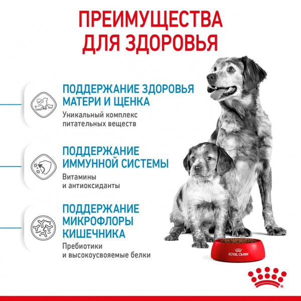 Royal Canin Для щенков средних пород: 1-2 мес. (Medium Starter)