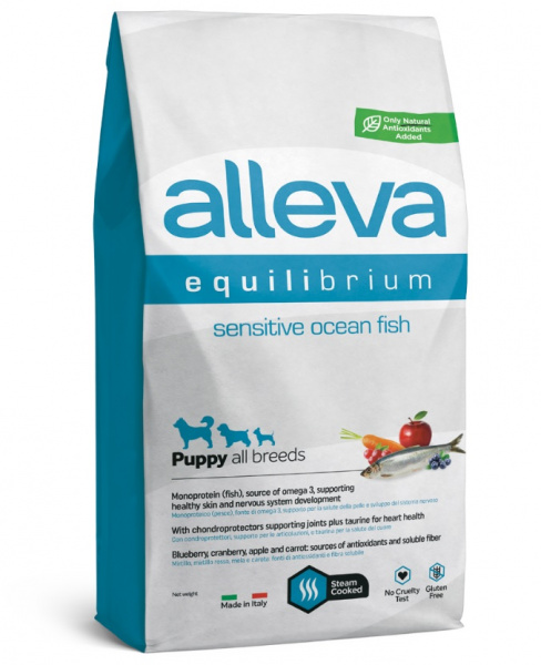 equilibrium_puppy_allbreeds