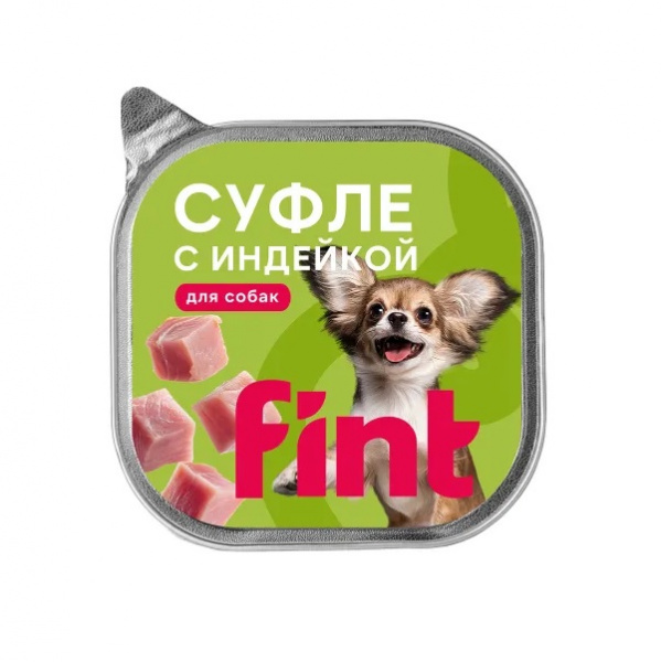 fin_ind_100