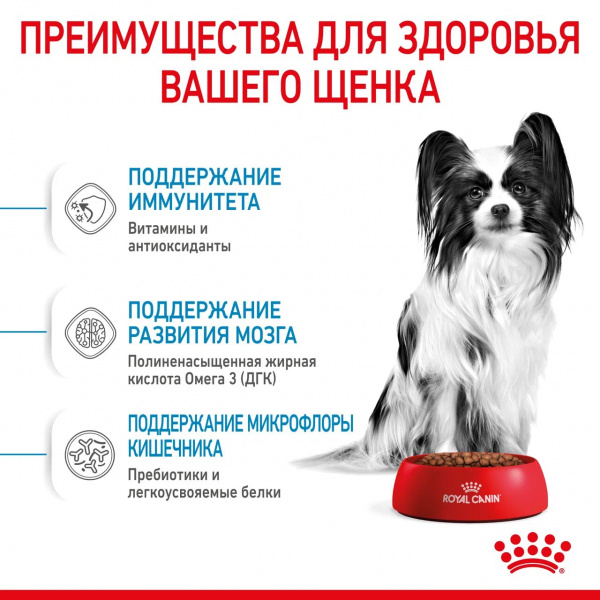 Royal Canin Для щенков карликовых пород (X-Small Puppy)