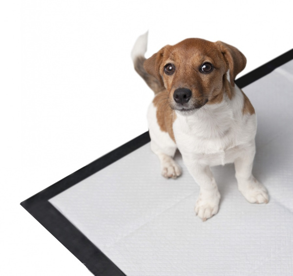 Pets_pel_25236