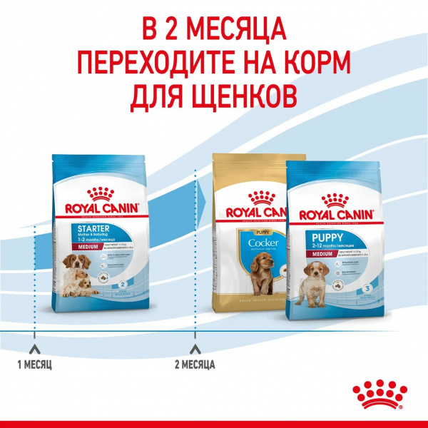 Royal Canin Для щенков средних пород: 1-2 мес. (Medium Starter)
