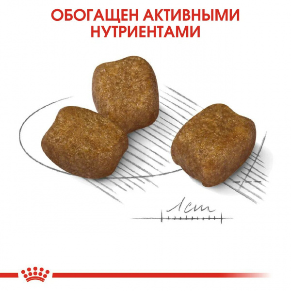 Royal Canin Для собак малых c повышенной чувствительностью зубов (Mini Dental Care)