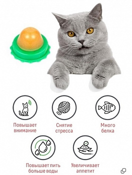 PetCh Игрушка-лакомство для кошек мятный шар леденец