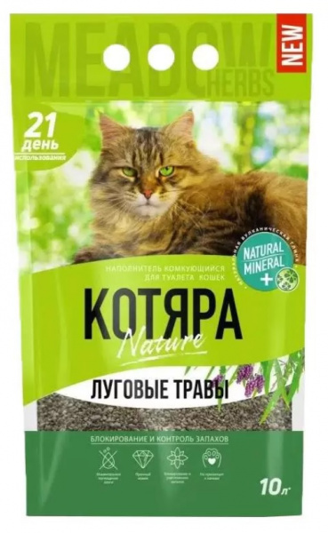 kot_kom_lug1