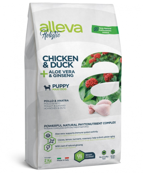 holistic_dog_chicken_puppy_max