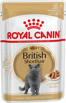 Royal Canin Паучи Кусочки в соусе для кошек Британская Короткошерстная (British Shorthair) 85 гр